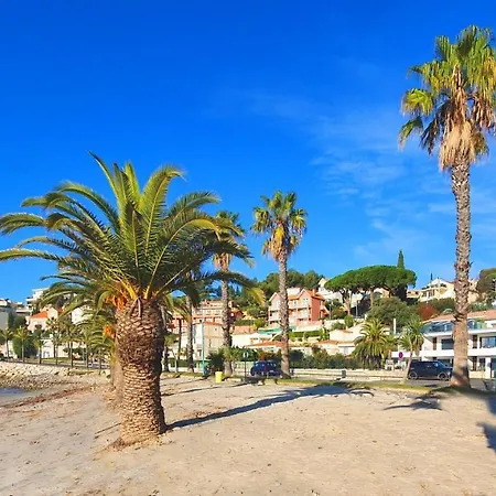 T3 Neuf Avec Terrasse Face à La Bandol